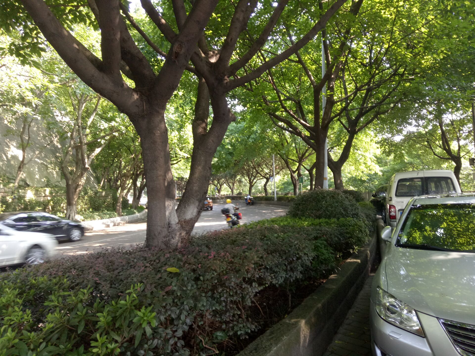 重慶市渝中區(qū)愛民老年服務(wù)中心 重慶市渝中區(qū)愛民老年服務(wù)中心