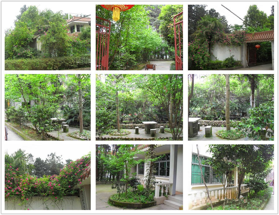 南充市高坪區(qū)青松園療養(yǎng)院 南充市高坪區(qū)青松園療養(yǎng)院