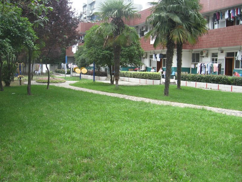 上海市寶山區(qū)泗塘承苗養(yǎng)老院