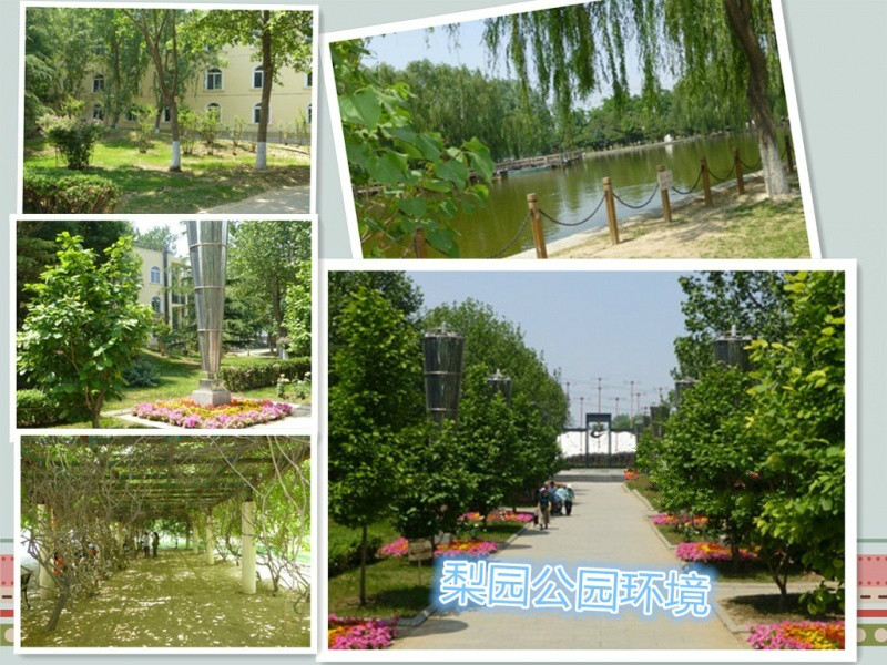 尚佰易國際福祉養(yǎng)老機構(gòu)