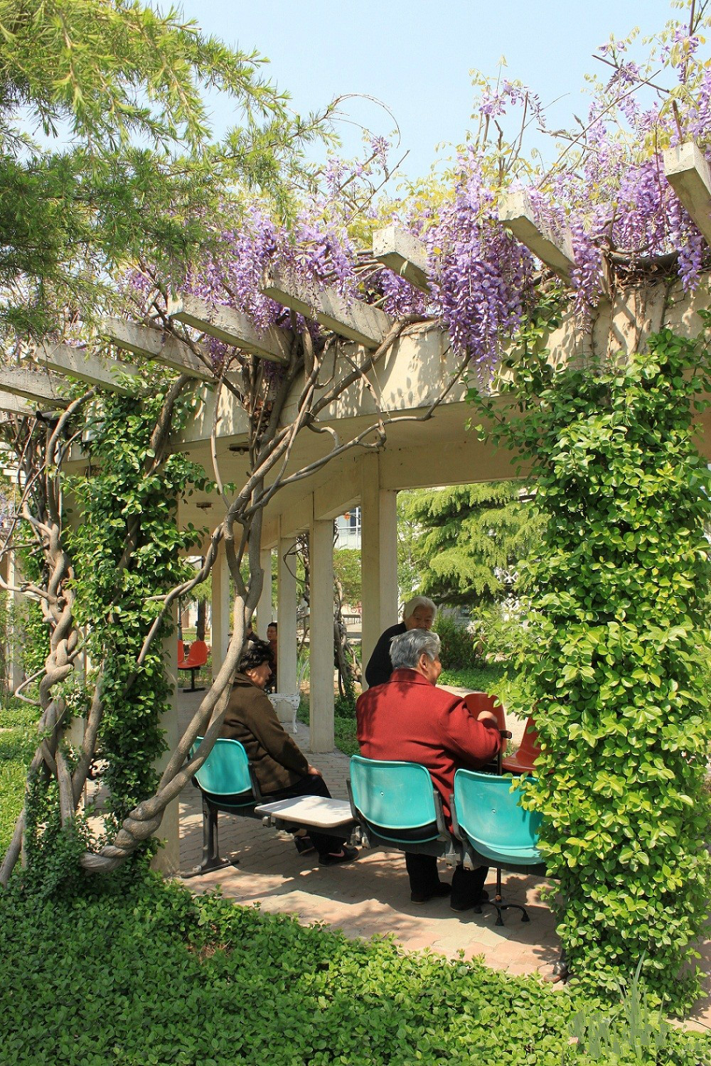 北京市昌平區(qū)愛地老人頤養(yǎng)中心 北京市昌平區(qū)愛地老人頤養(yǎng)中心