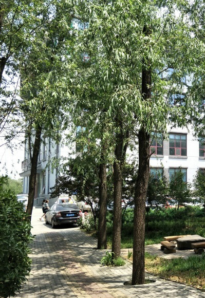 河北平山縣野生原老年公寓 河北平山縣野生原老年公寓