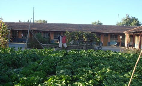 北京市延慶縣大榆樹鎮(zhèn)敬老院 北京市延慶縣大榆樹鎮(zhèn)敬老院