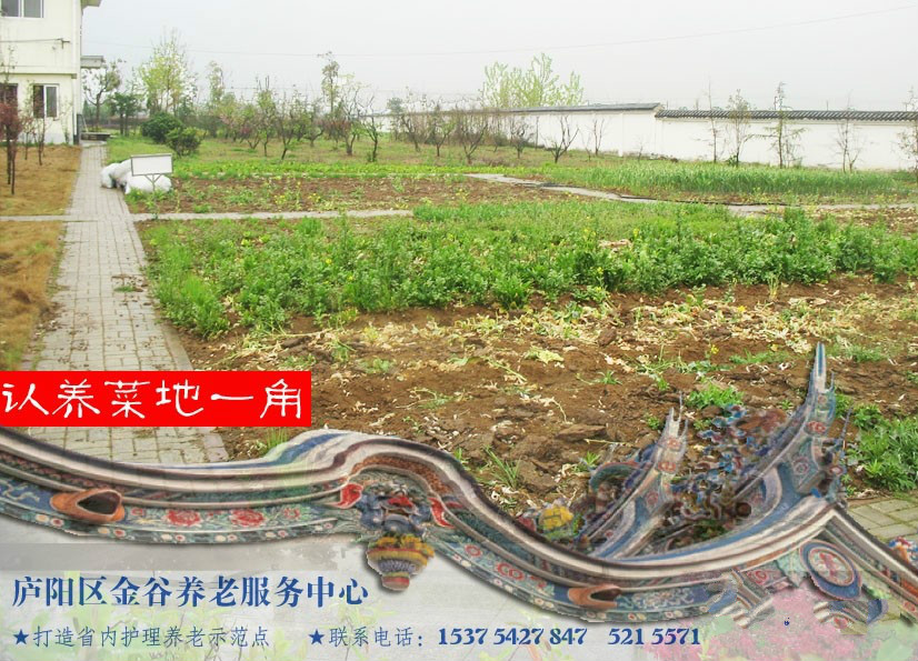 合肥市廬陽區(qū)金谷養(yǎng)老服務(wù)中心