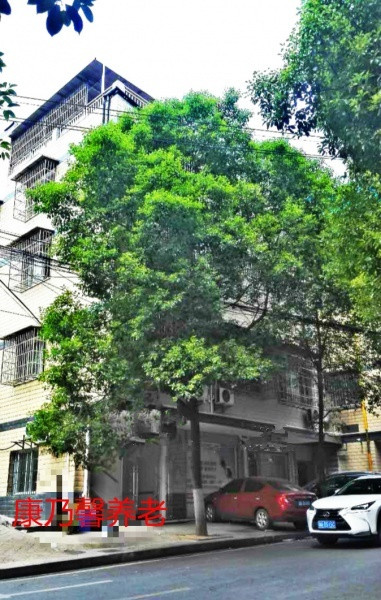 長沙市天心區(qū)康乃馨老年養(yǎng)護中心 長沙市天心區(qū)康乃馨老年養(yǎng)護中心