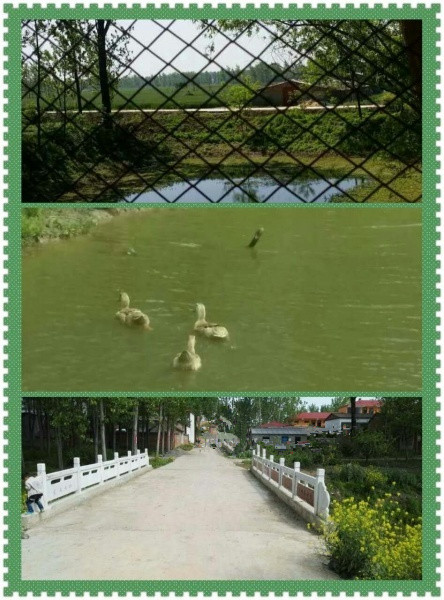 平輿康樂養(yǎng)老中心 平輿康樂養(yǎng)老中心