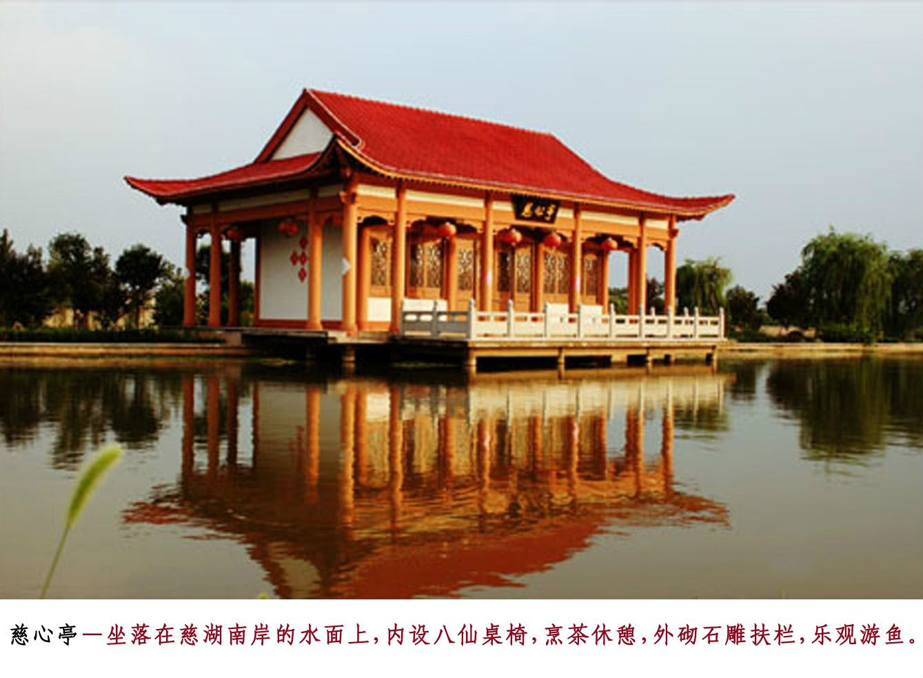 濟(jì)南平陰縣玫苑老年公寓 濟(jì)南平陰縣玫苑老年公寓