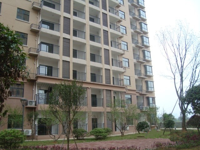 長沙康乃馨國際老年生活示范城 長沙康乃馨國際老年生活示范城