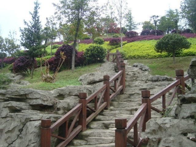 長沙康乃馨國際老年生活示范城 長沙康乃馨國際老年生活示范城
