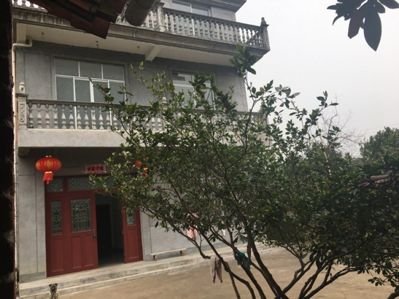 綠色家庭式照料中心 綠色家庭式照料中心