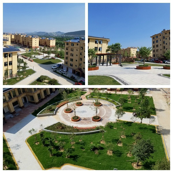 托?！ぬ?yáng)城