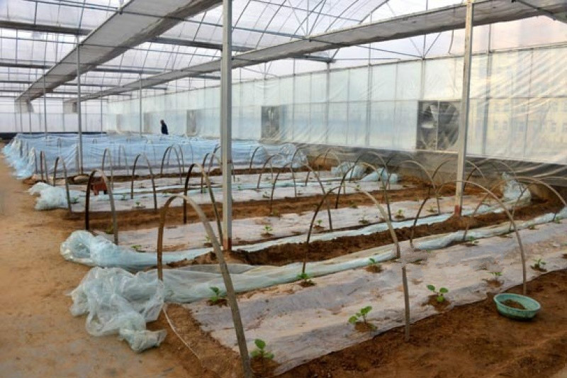 山東民康養(yǎng)護院養(yǎng)老院有限公司 山東民康養(yǎng)護院養(yǎng)老院有限公司