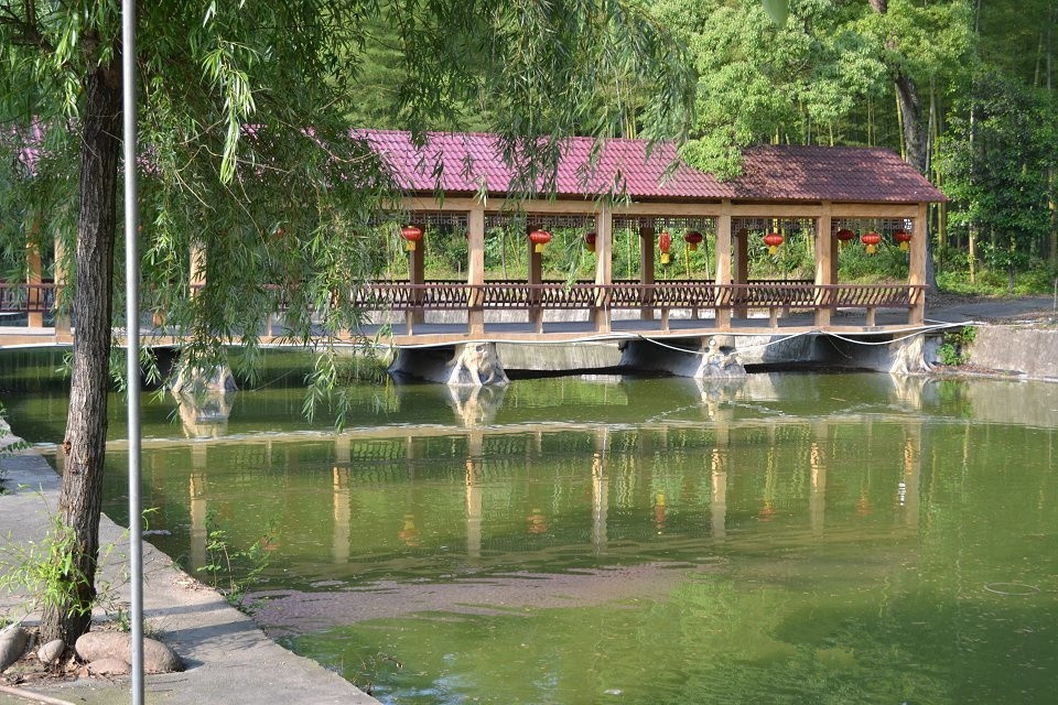 太平山莊夏季避暑圣地 太平山莊夏季避暑圣地