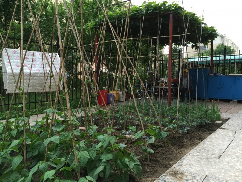 沈陽(yáng)愛(ài)心護(hù)理院