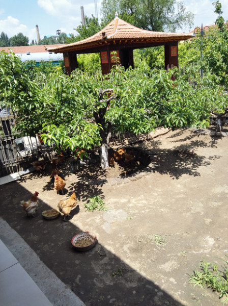 山西老來(lái)樂(lè)養(yǎng)老院