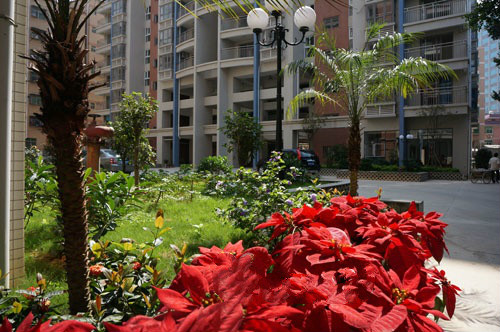 深圳市南聯(lián)頤養(yǎng)中心 深圳市南聯(lián)頤養(yǎng)中心