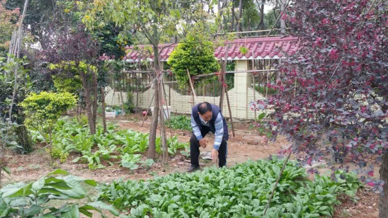 珠海香洲快樂壽星老年公寓 珠海香洲快樂壽星老年公寓