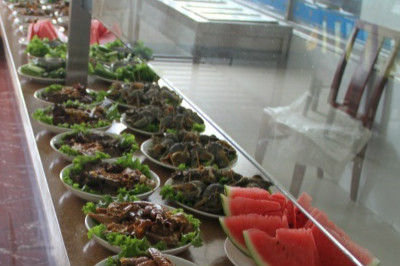 大連御湘苑養(yǎng)老服務(wù)中心