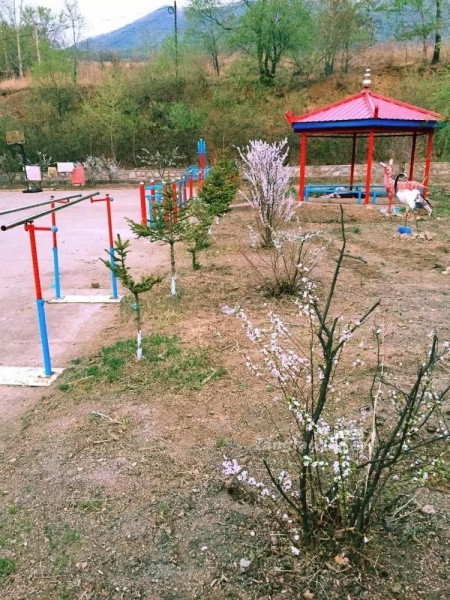 夕陽紅老年福利院