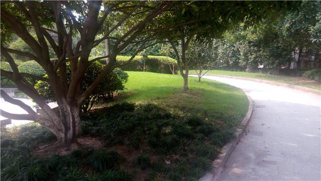 杭州松齡苑老人公寓 杭州松齡苑老人公寓