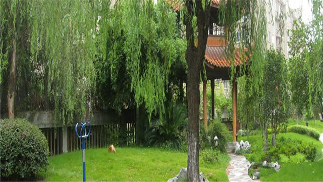 杭州市第二社會(huì)福利院 杭州市第二社會(huì)福利院