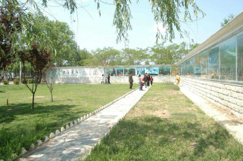 鄆城黃河養(yǎng)護(hù)集團(tuán) 鄆城黃河養(yǎng)護(hù)集團(tuán)