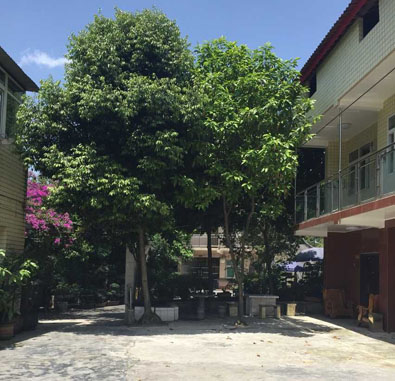 重慶市沙坪壩區(qū)錦陽佳苑