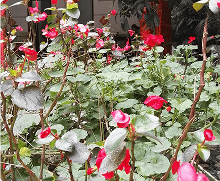 夕陽紅火頤養(yǎng)社區(qū) 夕陽紅火頤養(yǎng)社區(qū)