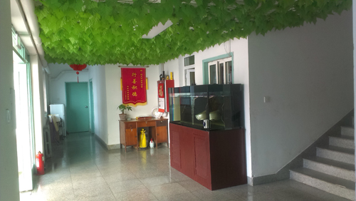 青島市北區(qū)頤天年老年公寓 青島市北區(qū)頤天年老年公寓