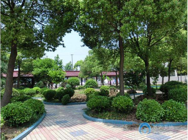 上海市浦東新區(qū)航頭鎮(zhèn)養(yǎng)老院 上海市浦東新區(qū)航頭鎮(zhèn)養(yǎng)老院