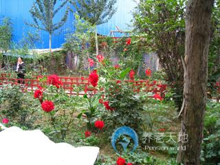 西安市長(zhǎng)安區(qū)沁春園養(yǎng)老院 西安市長(zhǎng)安區(qū)沁春園養(yǎng)老院