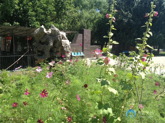 齊齊哈爾市夕陽(yáng)紅托養(yǎng)院