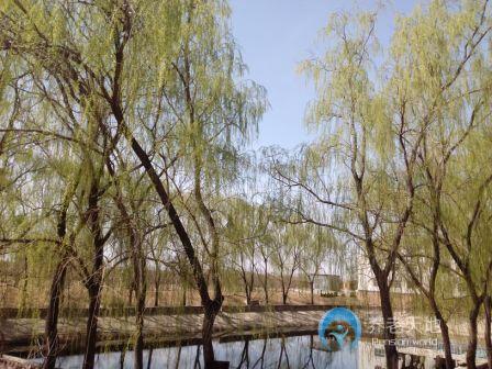 河北省露德安老服務(wù)中心 河北省露德安老服務(wù)中心