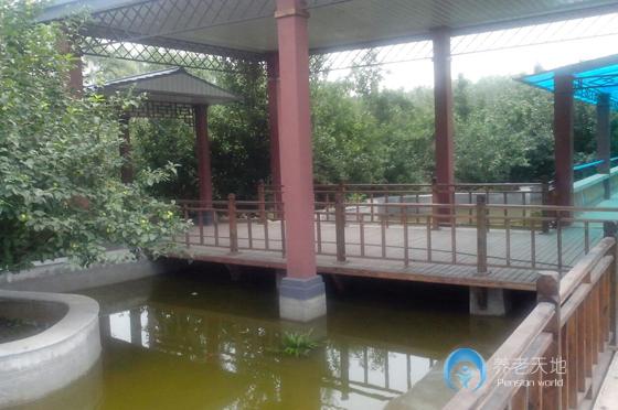 沈陽(yáng)世外桃源老年養(yǎng)護(hù)中心