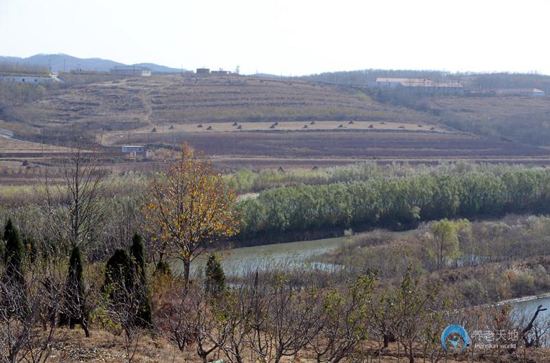 大連金州新區(qū)臥龍國際養(yǎng)老中心 大連金州新區(qū)臥龍國際養(yǎng)老中心