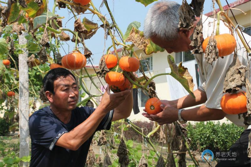河北省唐山市灤南縣胡各莊鎮(zhèn)敬老院 河北省唐山市灤南縣胡各莊鎮(zhèn)敬老院