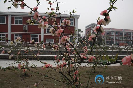 上海市金山區(qū)眾仁老年護(hù)理院