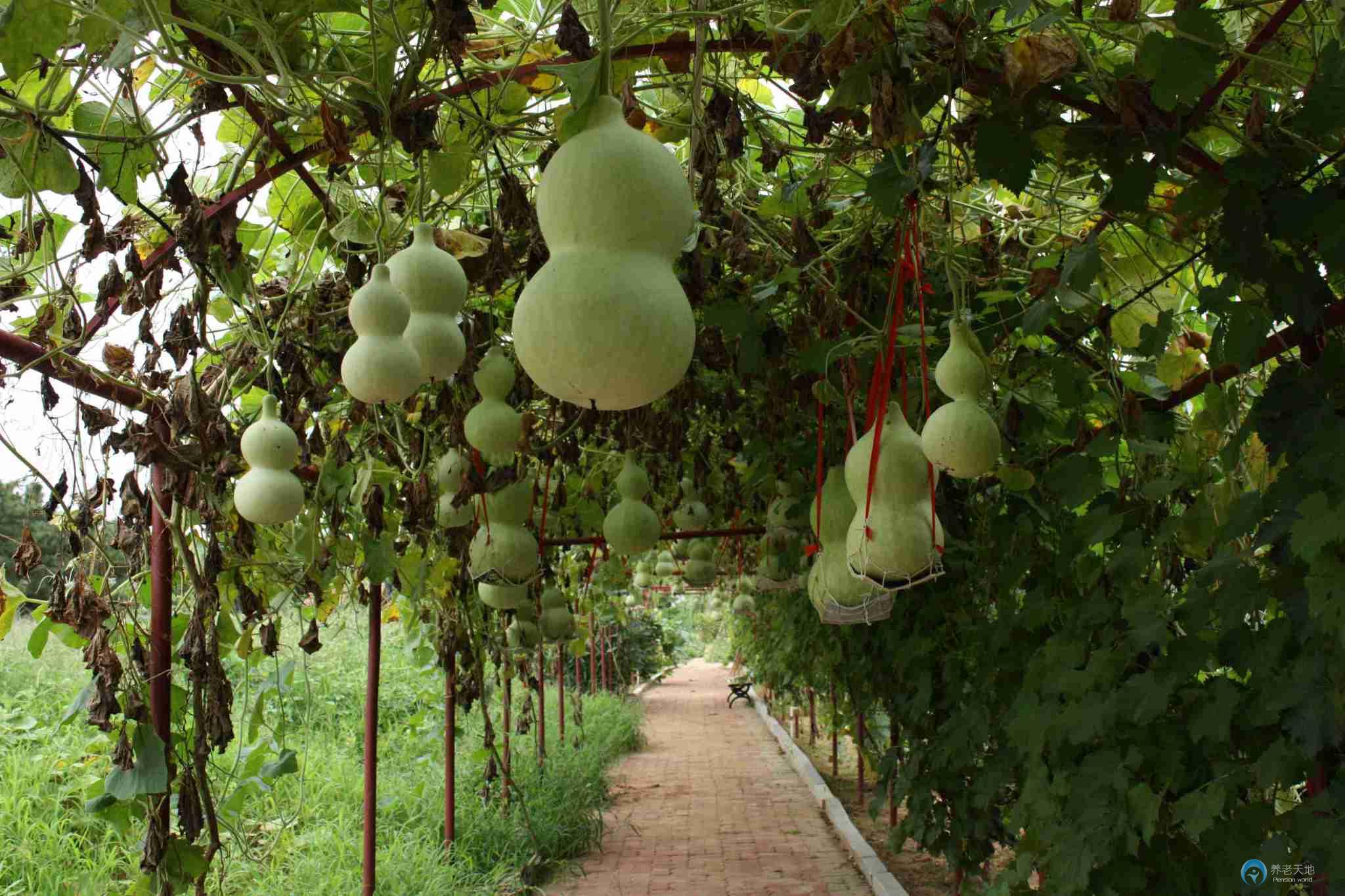 德緣老年休養(yǎng)中心