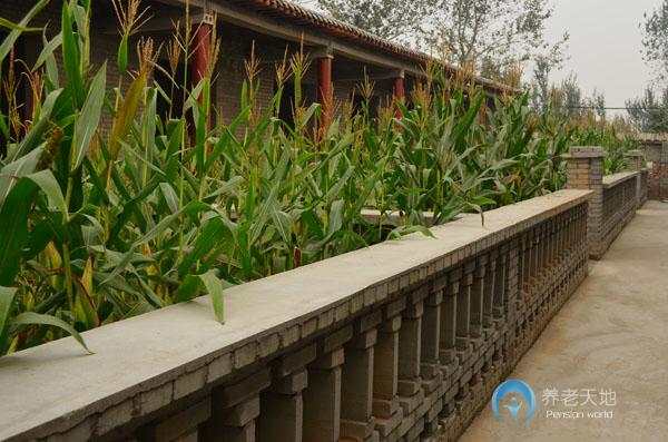 石家莊市長安區(qū)福壽居養(yǎng)老院