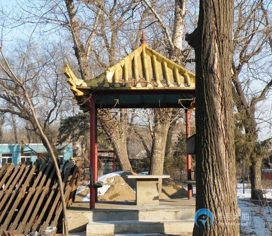 沈陽慈善安老院 沈陽慈善安老院