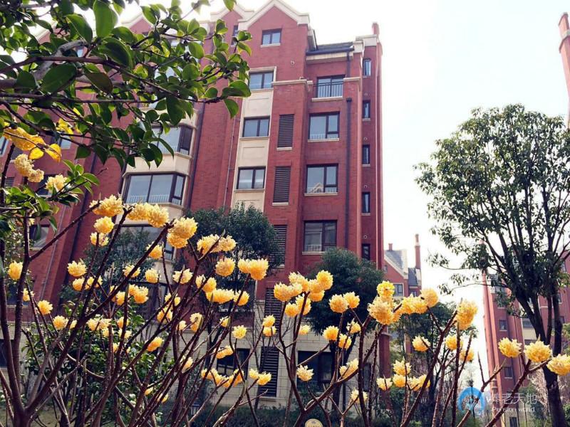 合眾優(yōu)年生活武漢社區(qū)