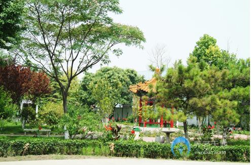 北京市朝陽區(qū)頤園老年公寓