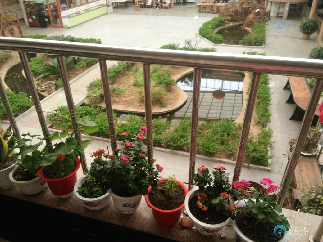 萊西市夕陽紅老年公寓 萊西市夕陽紅老年公寓