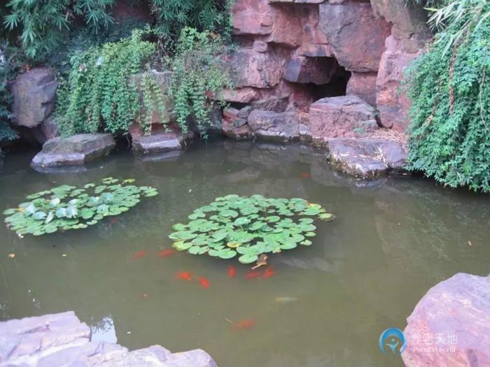 上?？禈犯ｐB(yǎng)老院