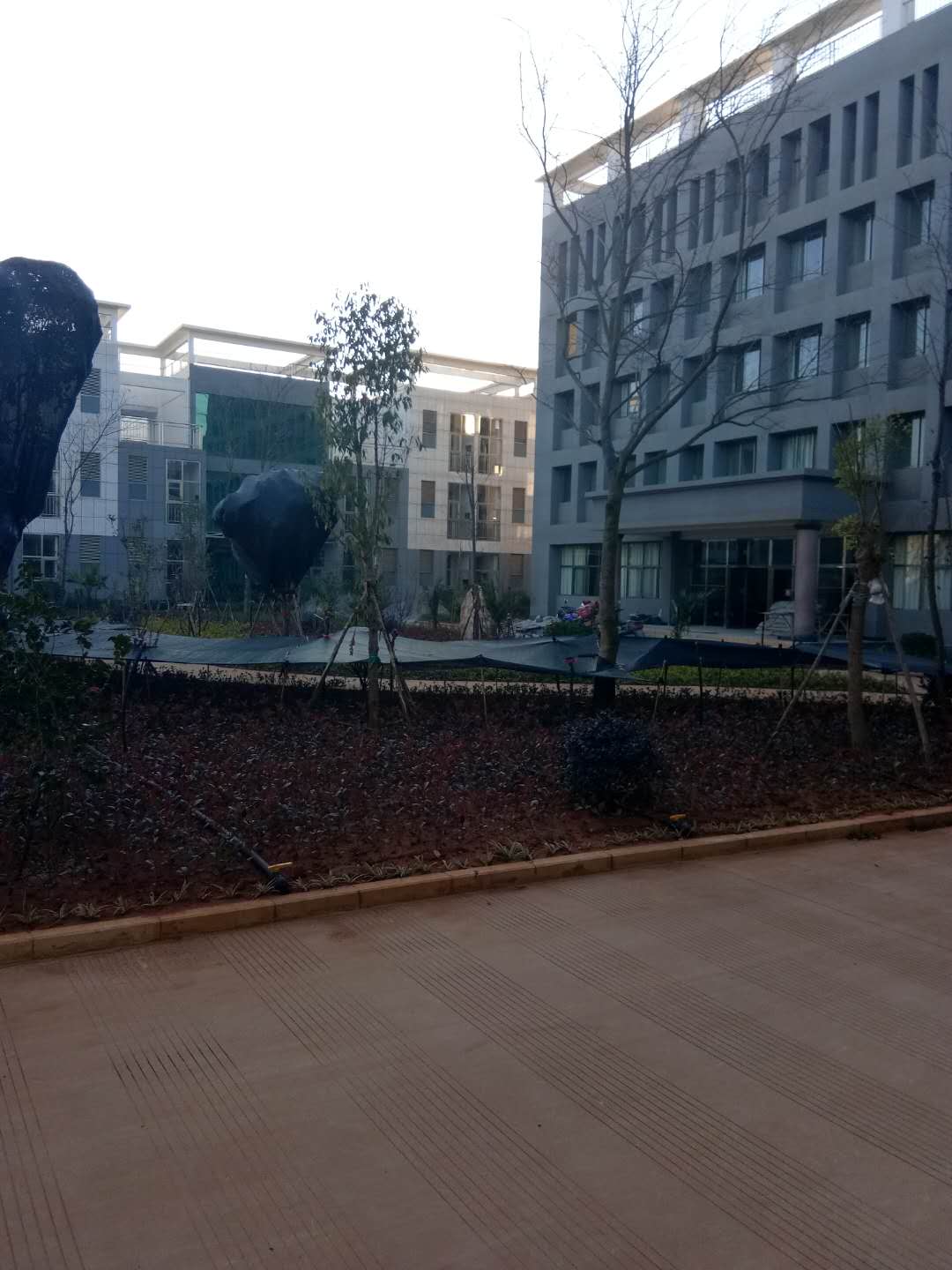 陸良朋陽養(yǎng)老院 陸良朋陽養(yǎng)老院