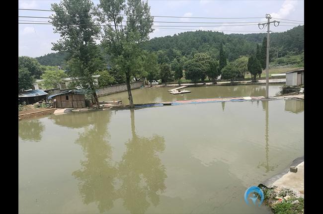 貴陽市花溪區(qū)盡心托老院 貴陽市花溪區(qū)盡心托老院
