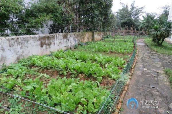 龍橋敬老院 龍橋敬老院