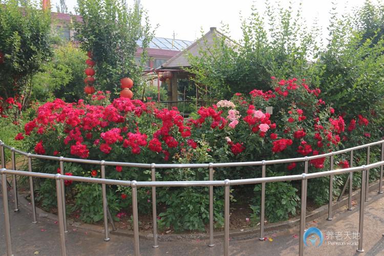 太原杏花嶺區(qū)福樂居敬老院 太原杏花嶺區(qū)福樂居敬老院