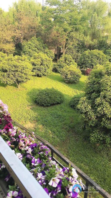 杭州市西湖區(qū)府苑新村養(yǎng)老院