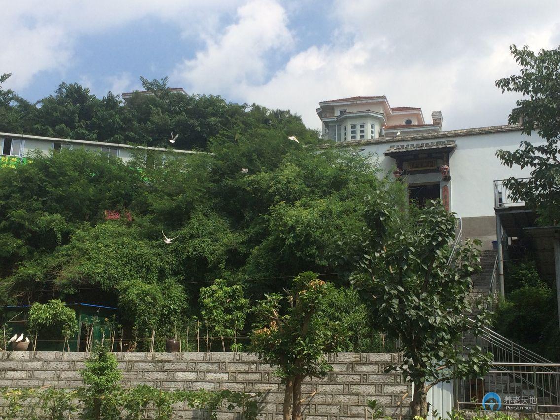 福州西園老年公寓 福州西園老年公寓